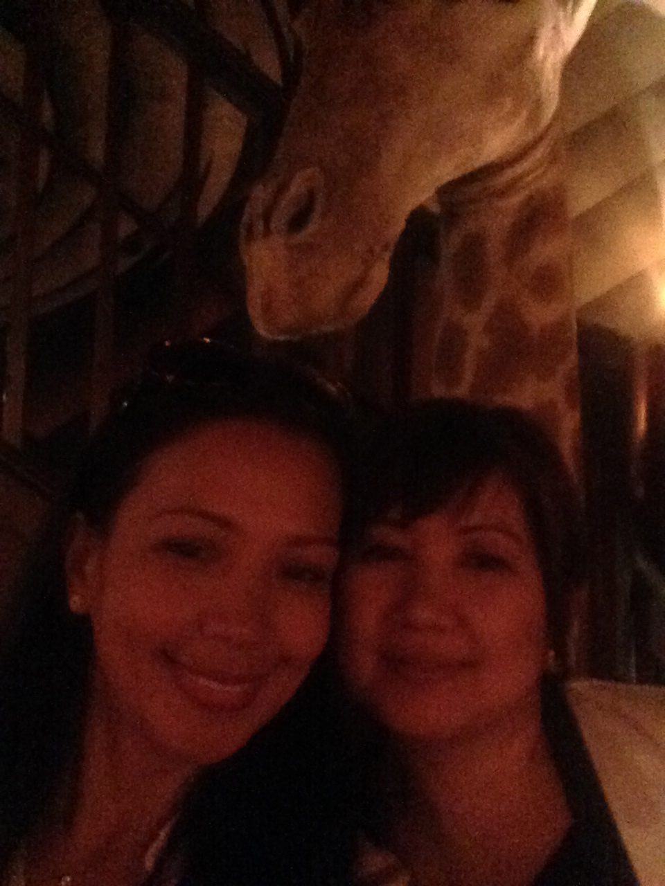 Lynn and I had to having a selfie with the giraffe. ;) 