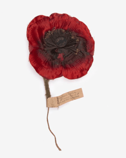 The poppy is the enduring symbol of remembrance of the First World War. It is strongly linked with Armistice Day, 11th of November. (Photo: War Museum)